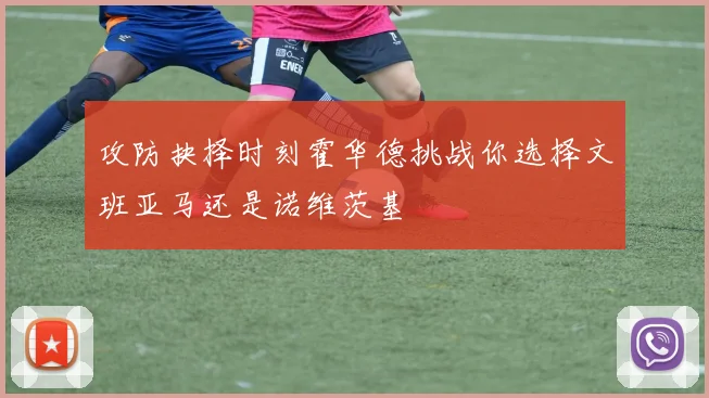攻防抉择时刻霍华德挑战你选择文班亚马还是诺维茨基